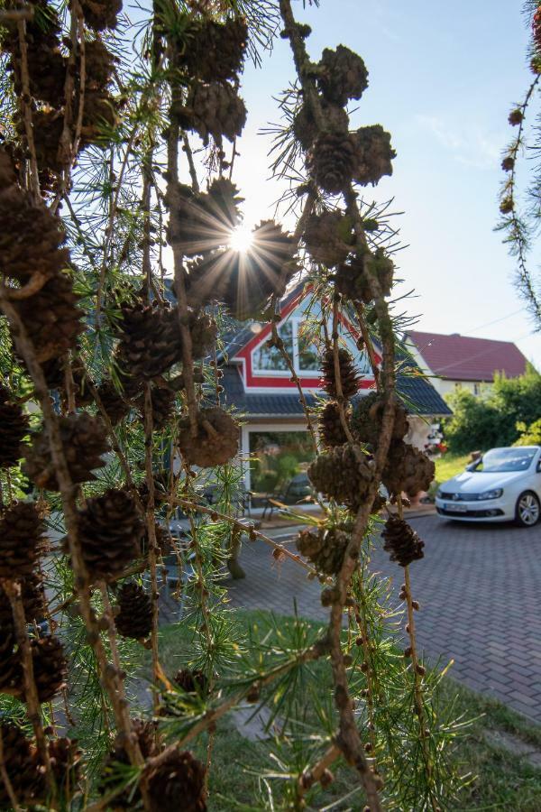 Ferienhaus Goermer Mit Wasserbett Schmölln Exteriér fotografie